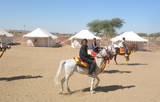 Horse safari