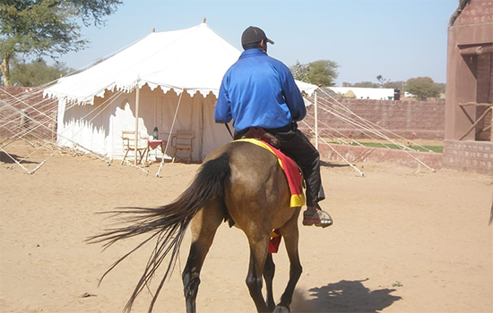 Horse safari
