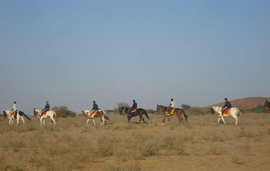 Camel and horse expedition camps
