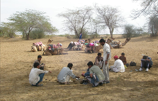 Camel and horse expedition camps