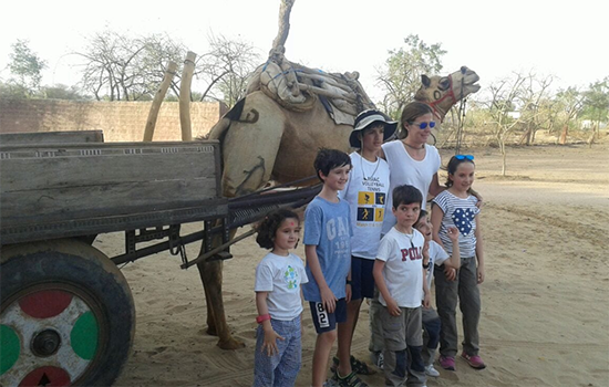 Camel cart and Jeep safari